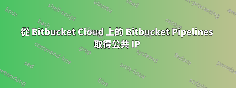 從 Bitbucket Cloud 上的 Bitbucket Pipelines 取得公共 IP