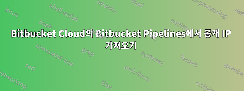 Bitbucket Cloud의 Bitbucket Pipelines에서 공개 IP 가져오기