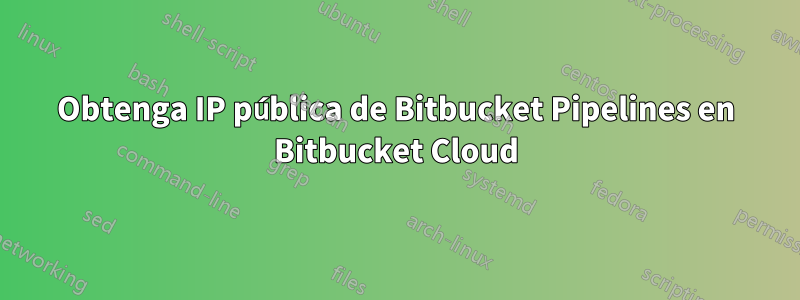 Obtenga IP pública de Bitbucket Pipelines en Bitbucket Cloud