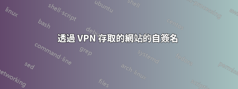 透過 VPN 存取的網站的自簽名