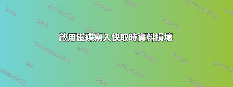 啟用磁碟寫入快取時資料損壞