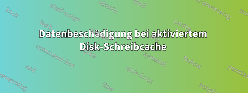 Datenbeschädigung bei aktiviertem Disk-Schreibcache