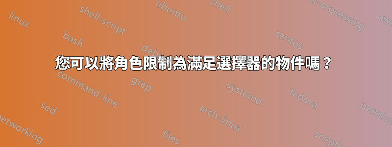 您可以將角色限制為滿足選擇器的物件嗎？