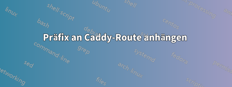 Präfix an Caddy-Route anhängen