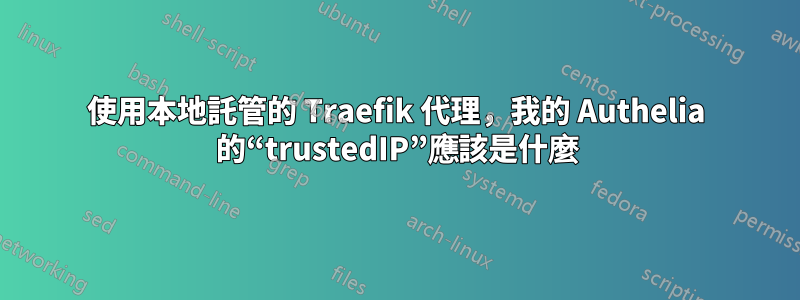 使用本地託管的 Traefik 代理，我的 Authelia 的“trustedIP”應該是什麼