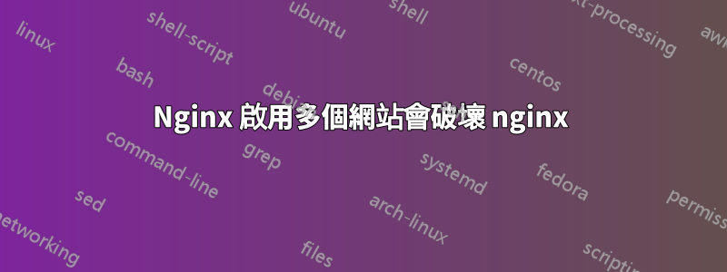 Nginx 啟用多個網站會破壞 nginx