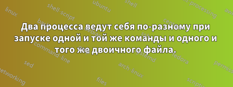 Два процесса ведут себя по-разному при запуске одной и той же команды и одного и того же двоичного файла.