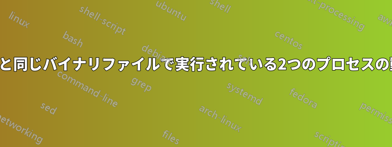 同じコマンドと同じバイナリファイルで実行されている2つのプロセスの動作が異なる