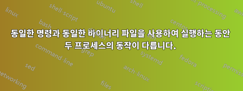 동일한 명령과 동일한 바이너리 파일을 사용하여 실행하는 동안 두 프로세스의 동작이 다릅니다.