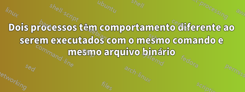 Dois processos têm comportamento diferente ao serem executados com o mesmo comando e mesmo arquivo binário