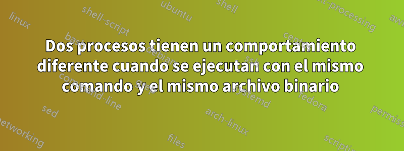 Dos procesos tienen un comportamiento diferente cuando se ejecutan con el mismo comando y el mismo archivo binario