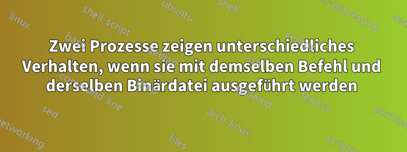 Zwei Prozesse zeigen unterschiedliches Verhalten, wenn sie mit demselben Befehl und derselben Binärdatei ausgeführt werden