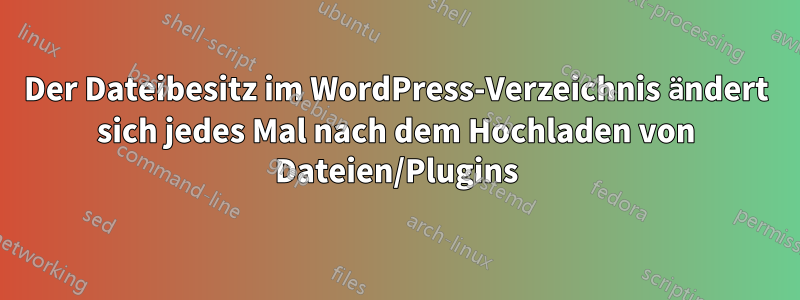 Der Dateibesitz im WordPress-Verzeichnis ändert sich jedes Mal nach dem Hochladen von Dateien/Plugins