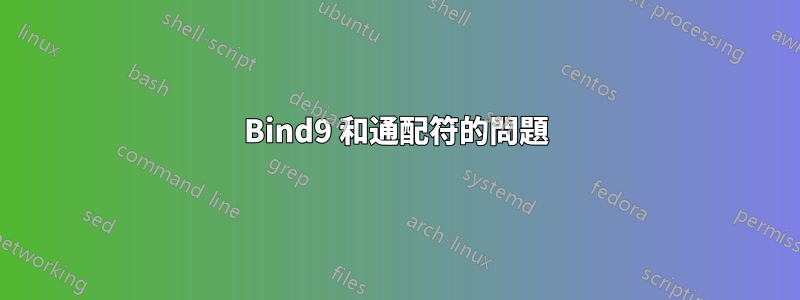 Bind9 和通配符的問題