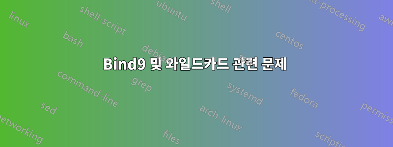 Bind9 및 와일드카드 관련 문제