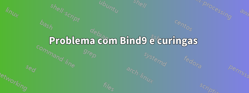 Problema com Bind9 e curingas