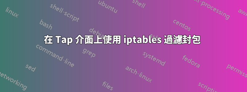 在 Tap 介面上使用 iptables 過濾封包