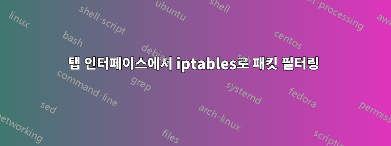 탭 인터페이스에서 iptables로 패킷 필터링