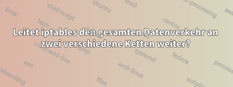 Leitet iptables den gesamten Datenverkehr an zwei verschiedene Ketten weiter?