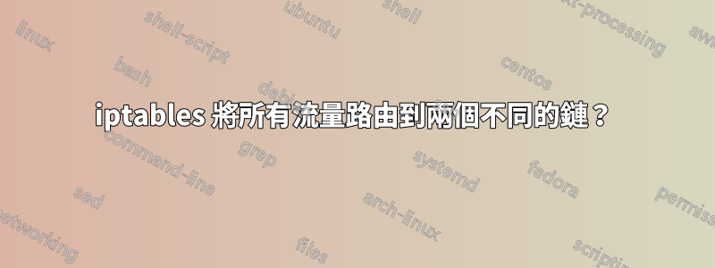 iptables 將所有流量路由到兩個不同的鏈？