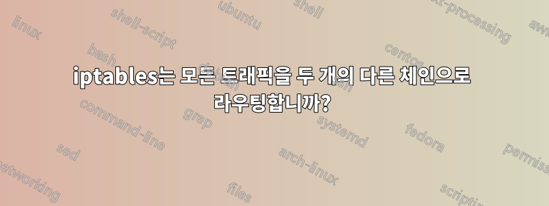 iptables는 모든 트래픽을 두 개의 다른 체인으로 라우팅합니까?