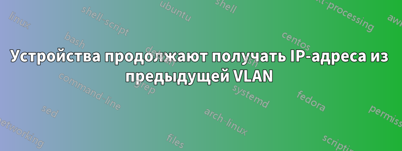 Устройства продолжают получать IP-адреса из предыдущей VLAN