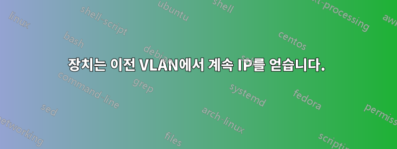 장치는 이전 VLAN에서 계속 IP를 얻습니다.