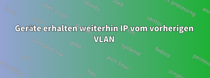 Geräte erhalten weiterhin IP vom vorherigen VLAN