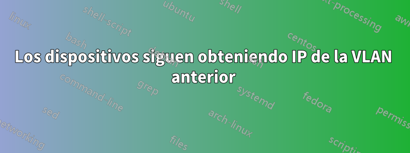 Los dispositivos siguen obteniendo IP de la VLAN anterior