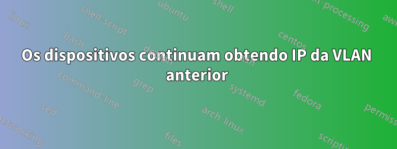 Os dispositivos continuam obtendo IP da VLAN anterior