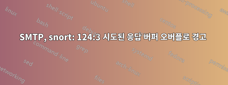 SMTP, snort: 124:3 시도된 응답 버퍼 오버플로 경고