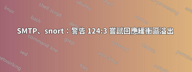 SMTP、snort：警告 124:3 嘗試回應緩衝區溢出