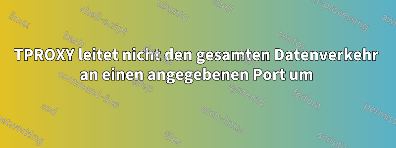 TPROXY leitet nicht den gesamten Datenverkehr an einen angegebenen Port um