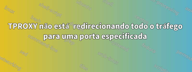 TPROXY não está redirecionando todo o tráfego para uma porta especificada