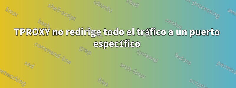 TPROXY no redirige todo el tráfico a un puerto específico