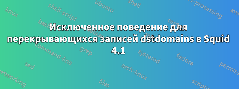 Исключенное поведение для перекрывающихся записей dstdomains в Squid 4.1