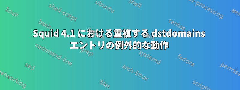 Squid 4.1 における重複する dstdomains エントリの例外的な動作