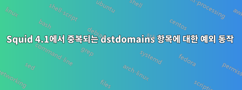 Squid 4.1에서 중복되는 dstdomains 항목에 대한 예외 동작