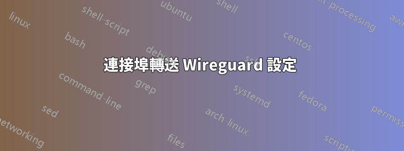 連接埠轉送 Wireguard 設定