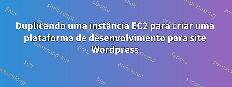 Duplicando uma instância EC2 para criar uma plataforma de desenvolvimento para site Wordpress