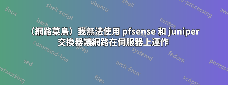 （網路菜鳥）我無法使用 pfsense 和 juniper 交換器讓網路在伺服器上運作