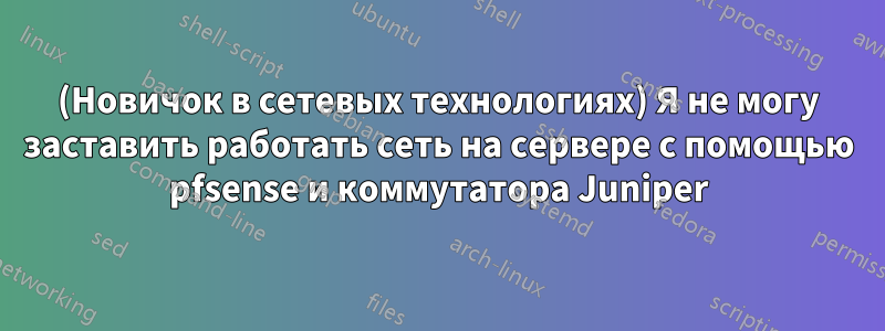 (Новичок в сетевых технологиях) Я не могу заставить работать сеть на сервере с помощью pfsense и коммутатора Juniper