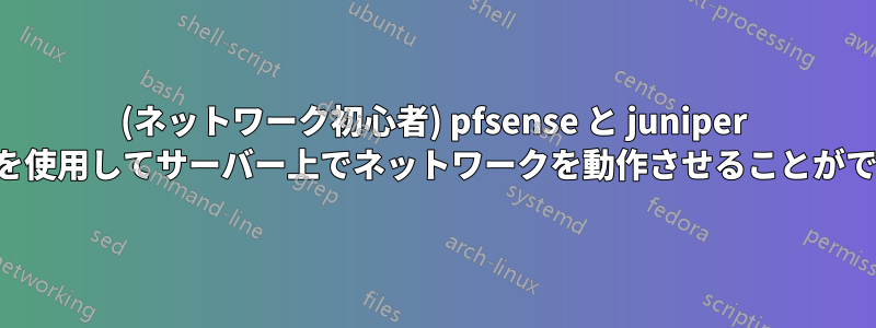 (ネットワーク初心者) pfsense と juniper スイッチを使用してサーバー上でネットワークを動作させることができません