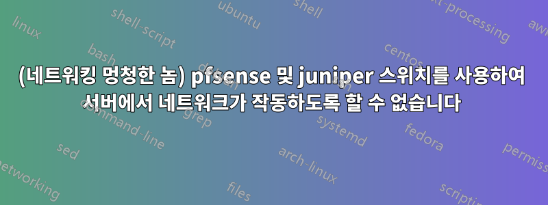 (네트워킹 멍청한 놈) pfsense 및 juniper 스위치를 사용하여 서버에서 네트워크가 작동하도록 할 수 없습니다