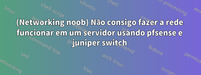 (Networking noob) Não consigo fazer a rede funcionar em um servidor usando pfsense e juniper switch