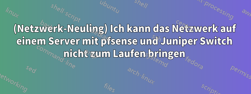 (Netzwerk-Neuling) Ich kann das Netzwerk auf einem Server mit pfsense und Juniper Switch nicht zum Laufen bringen