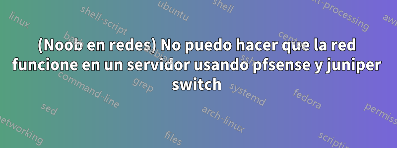 (Noob en redes) No puedo hacer que la red funcione en un servidor usando pfsense y juniper switch