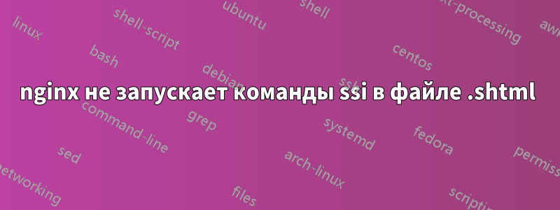 nginx не запускает команды ssi в файле .shtml