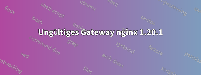 502 Ungültiges Gateway nginx 1.20.1