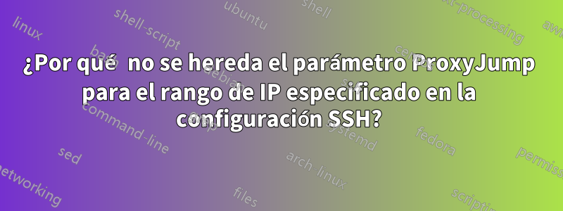 ¿Por qué no se hereda el parámetro ProxyJump para el rango de IP especificado en la configuración SSH?